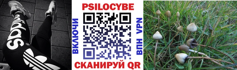 Галлюциногенные грибы Magic Shrooms  Купить  Бузулук 